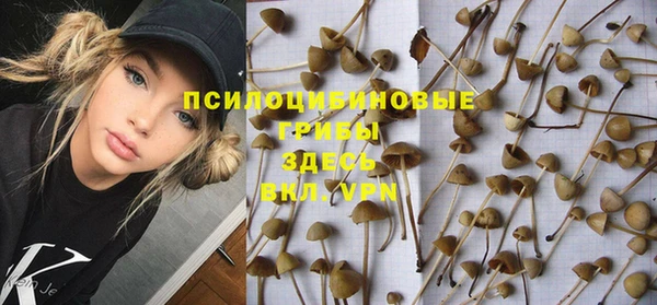 кокаин премиум Алексеевка