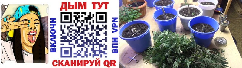 Шишки марихуана план Воткинск